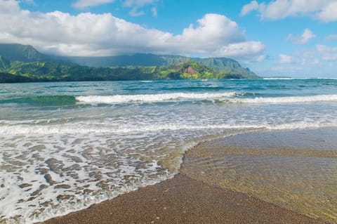 Waipouli Beach Resort Royal Penthouse Oceanfront Jewel A Building - Best of the Best! AC Pool Condominio in Kauai