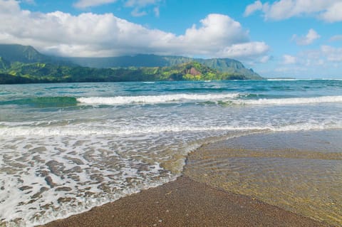 Waipouli Beach Resort Spectacular Luxury Oceanfront Condo Sleeps 8 AC Pool Condo in Kauai