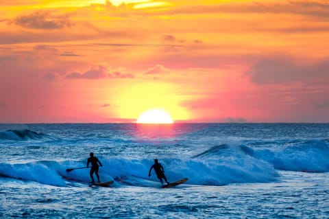 Waipouil Beach Resort Waipouli Beach Resort Gorgeous Luxury Oceanfront! AC Pool Apartment in Kauai