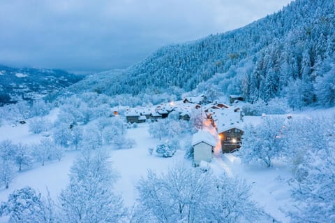 Natural landscape, Winter, Hiking