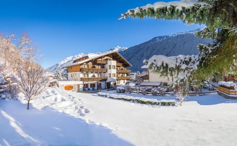 Property building, Winter, Garden