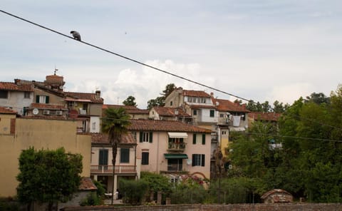 Facade/entrance, City view