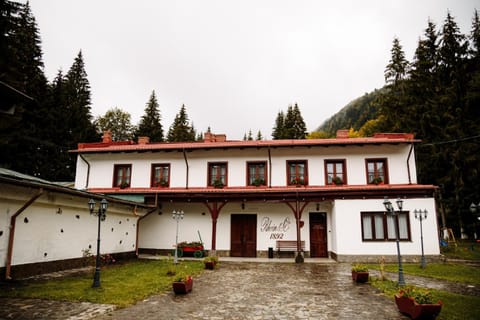 Pensiunea Rhein Chambre d’hôte in Brașov County