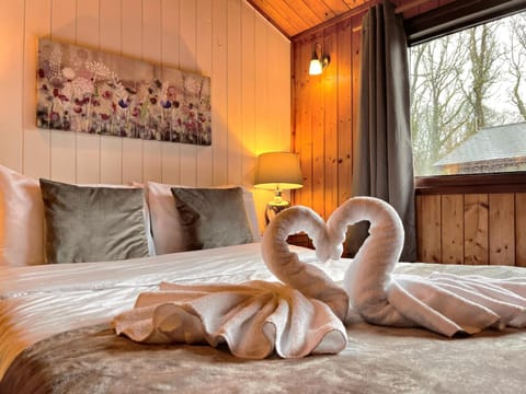 Snowdrop 9 Hot Tub-Woodlandlodges-Pembrokeshire Chalet in Wales