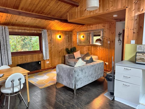 Snowdrop 14 Hot tub-Woodlandlodges-Tenby-Pendine Chalet in Wales