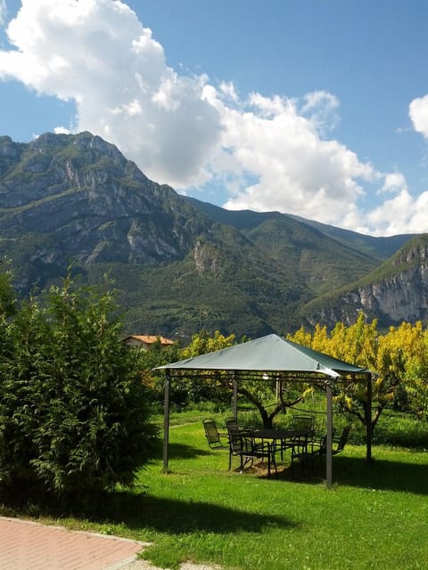 Patio, Spring, Summer, Garden, View (from property/room), View (from property/room)