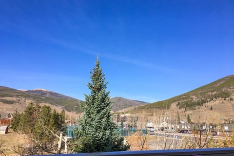 La Riva Del Lago 209 Apartment in Dillon