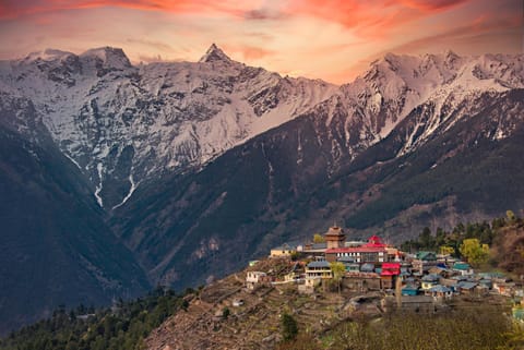 Echor - The Alpine Crest Hotel in Himachal Pradesh
