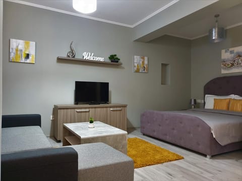 Irina Apartments Apartment in Timisoara