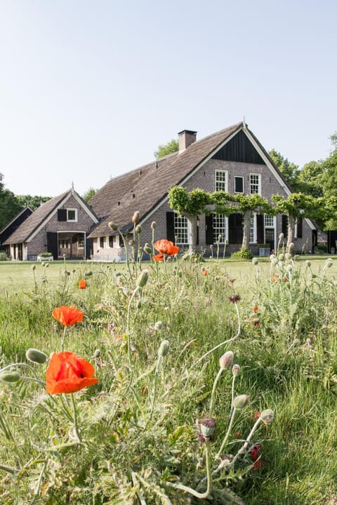 De Rheezer Kamer Apartment in Overijssel (province)