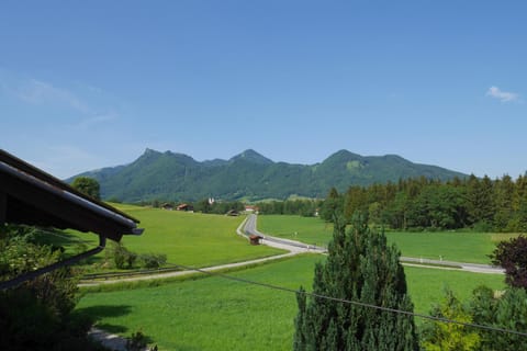 Ferienwohnungen Mittermayer Apartment in Aschau im Chiemgau