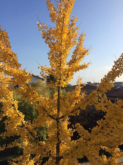View (from property/room), Autumn