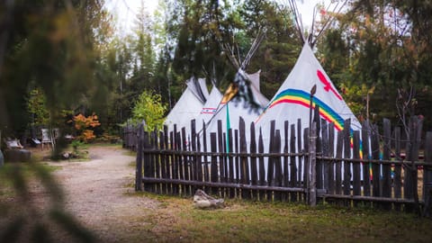 L'Auberge Refuge du Trappeur Gasthof in Shawinigan