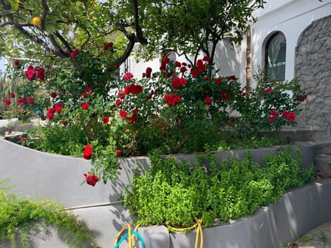 Facade/entrance, Garden view