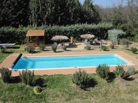 Garden, Garden view, Pool view, Swimming pool, sunbed