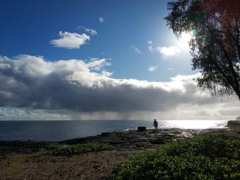 Natural landscape, Beach, Sea view