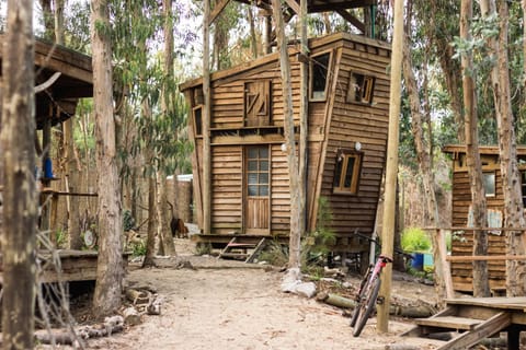 Flor de Vida Geocabañas - Tiny House in Rocha Department, Uruguay