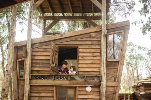 Flor de Vida Geocabañas - Tiny House in Rocha Department, Uruguay