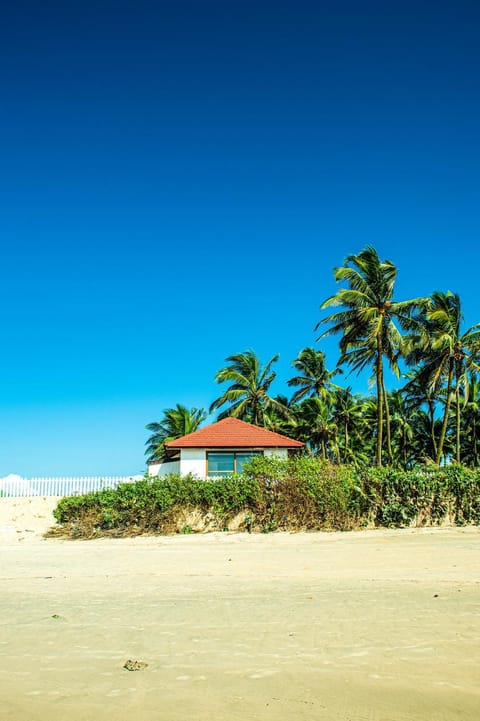 Natural landscape, Beach