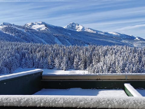 Studio cabine au pied des pistes à Villard de Lans, terrasse sud, parking gratuit - FR-1-515-106 Cabin in Provence-Alpes-Côte d'Azur