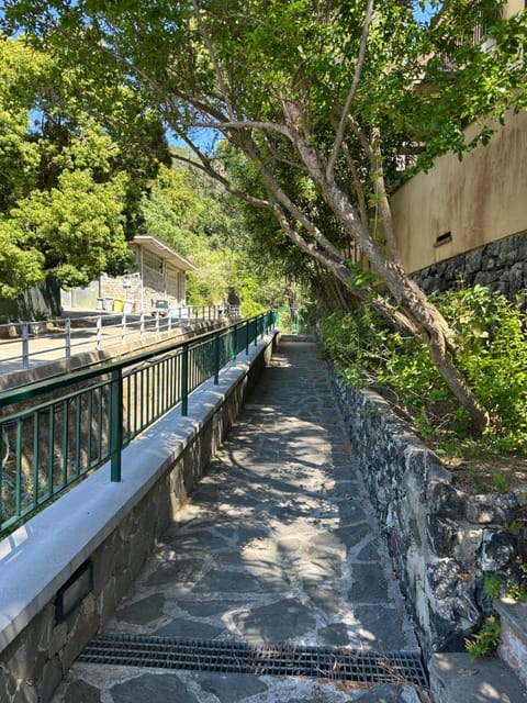 Inner courtyard view