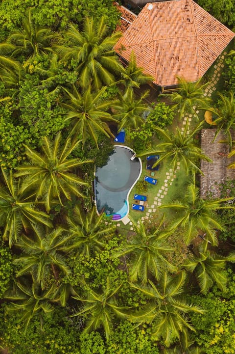 Bird's eye view, Swimming pool