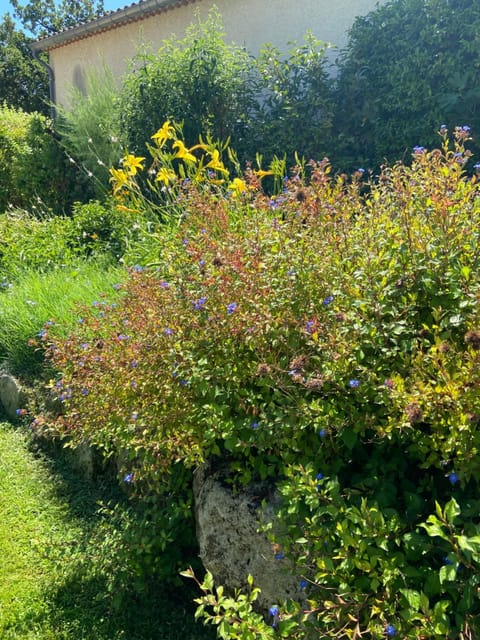 Garden, Garden, Garden view