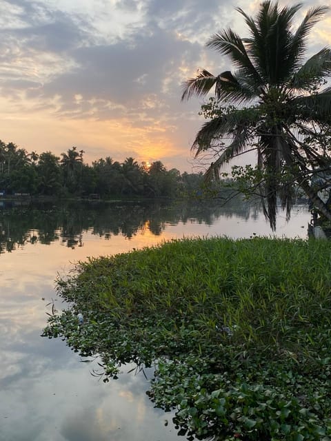 Sunsets and Palm Trees Übernachtung mit Frühstück in Kerala