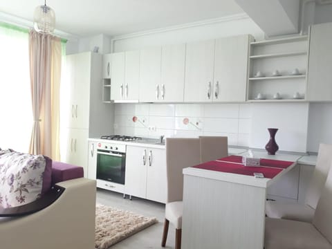 Apartament Coresi Apartment in Brasov