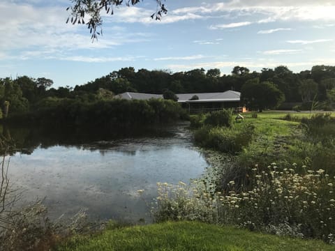 Natural landscape, View (from property/room), Lake view