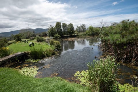 Natural landscape, View (from property/room), Garden view, Lake view, Mountain view