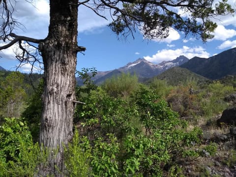 Rincon del Montañes Nature lodge in Bio Bio, Chile