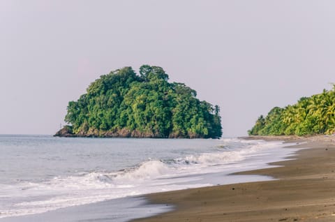 Natural landscape, Beach