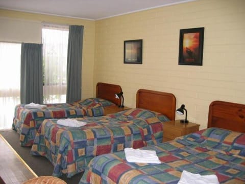 Gisborne Motel Motel in Gisborne