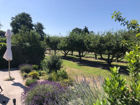 Garden, Garden view