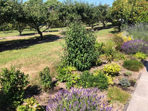 Garden, Garden view