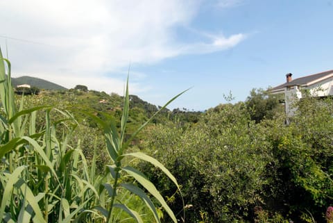 Villa Caribe affittacamere Alojamiento y desayuno in Monterosso al Mare
