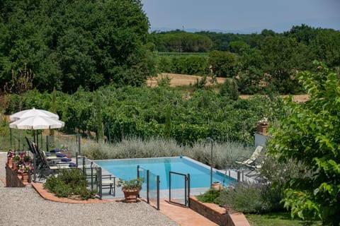 Garden view, Pool view, Swimming pool, Swimming pool