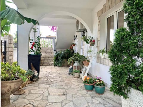 Patio, Bird's eye view, Area and facilities