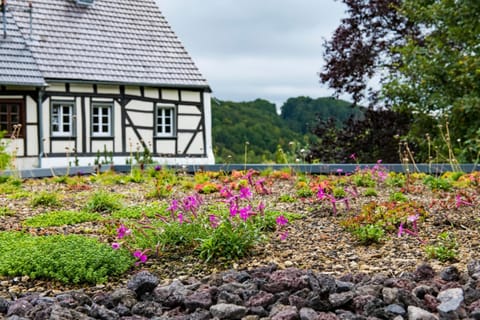 Property building, Garden view