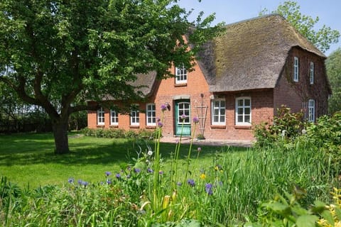 Property building, Garden, Garden view