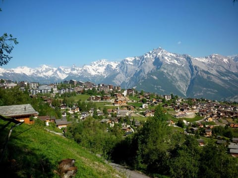 Appartement Panoramic Condo in Nendaz