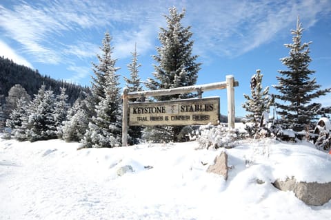 Keystone Bristlecone Home 31 by SummitCove Lodging House in Keystone