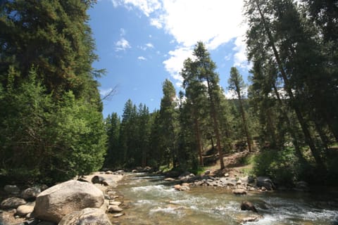 Keystone Bristlecone Home 31 by SummitCove Lodging House in Keystone