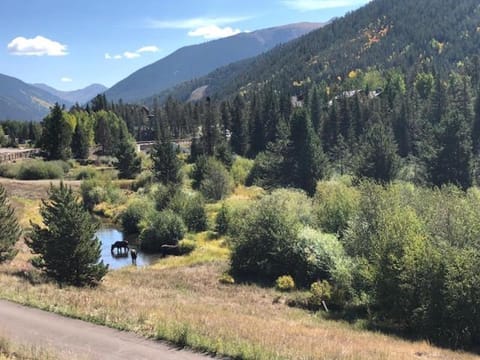 Keystone Bristlecone Home 31 by SummitCove Lodging House in Keystone