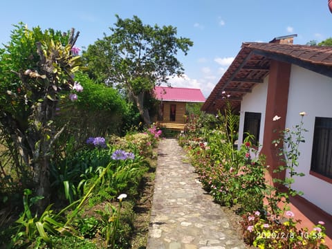 Hostal Palo Alto Cabaña en Pino Condo in Ecuador