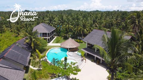 Bird's eye view, Pool view