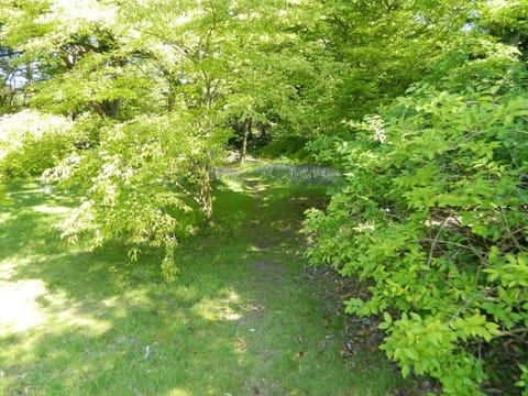 River Cottage a country retreat in wooded gardens House in Purbeck District