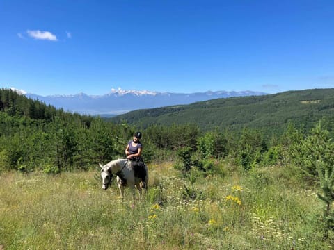 Spring, People, Natural landscape, Horse-riding, Mountain view