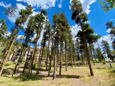 Lazy K Mountain Home 31 by SummitCove Lodging House in Keystone